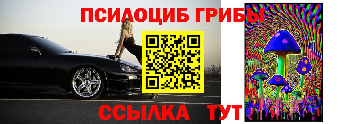 Псилоцибиновые грибы Psilocybine cubensis Верхняя Салда