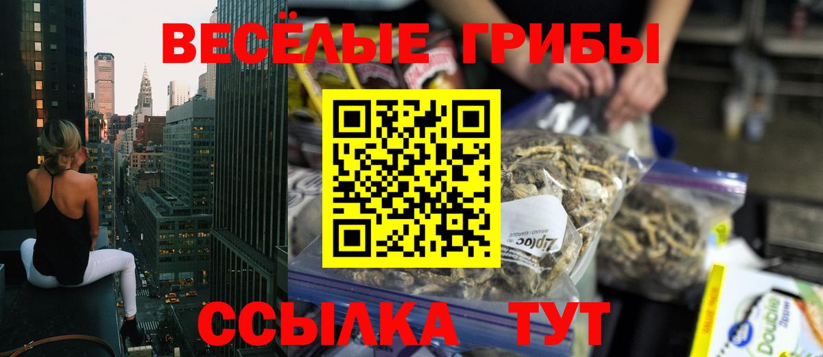 Псилоцибиновые грибы GOLDEN TEACHER  Верхняя Салда 