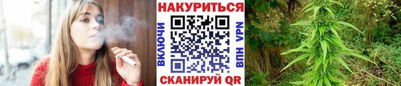 магазин продажи наркотиков  Верхняя Салда  shop какой сайт  Бошки Шишки Ganja 
